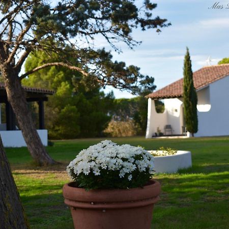 Hotel Mas Mls Saintes-Maries-de-la-Mer Exteriér fotografie