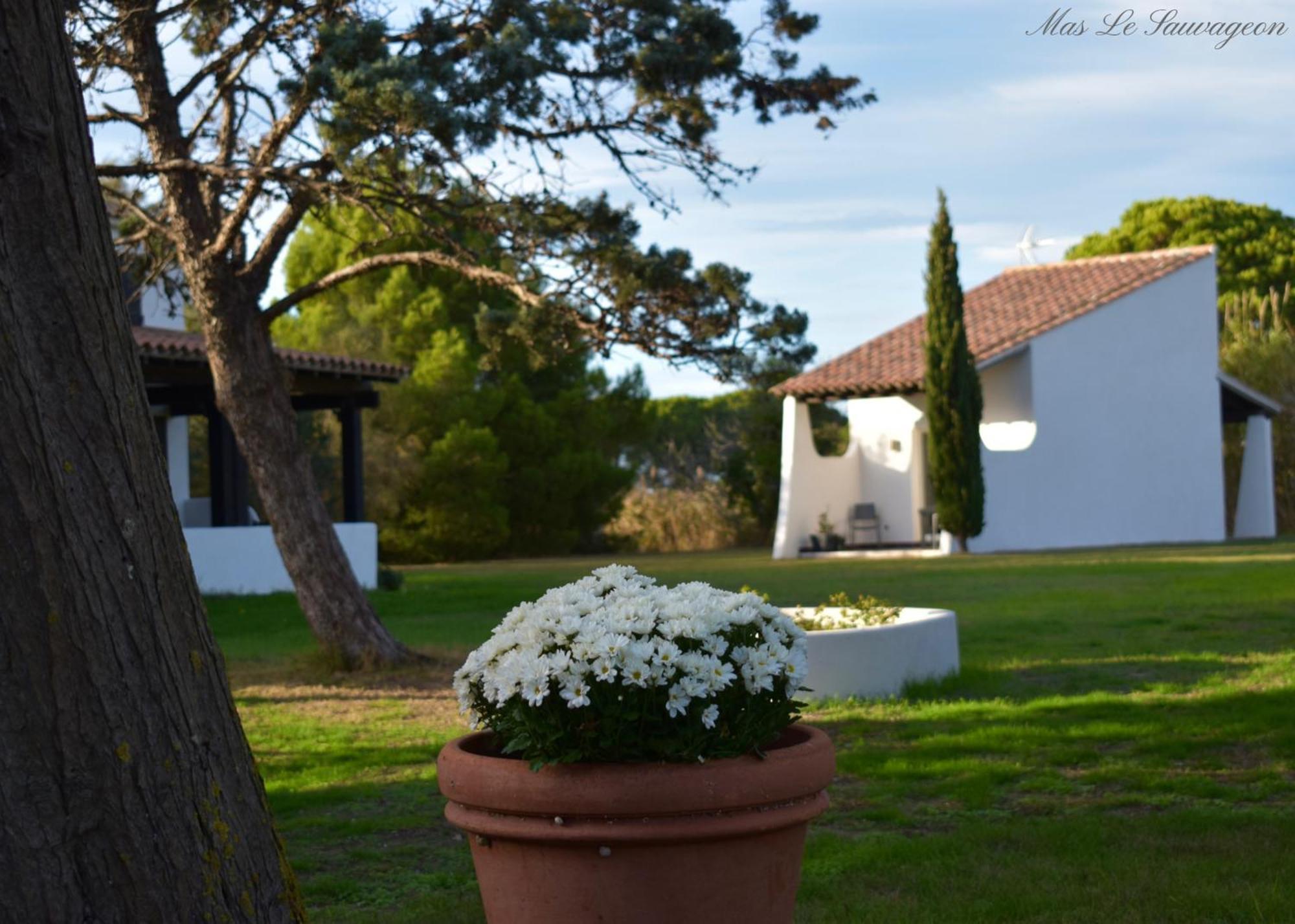 Hotel Mas Mls Saintes-Maries-de-la-Mer Exteriér fotografie